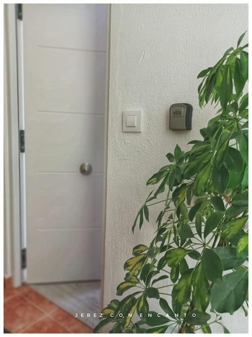 Atico En Pleno Centro De Jerez Sin Ascensor Lejlighed Jerez de la Frontera Eksteriør billede